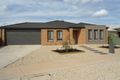 Property photo of 45 Sanctuary Boulevard Maiden Gully VIC 3551