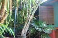 Property photo of 22 Sandy Cove Crescent Coolum Beach QLD 4573