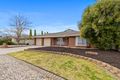 Property photo of 8 Harper Street Nuriootpa SA 5355