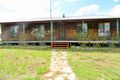 Property photo of 1306 Pyangle Road Pyangle NSW 2849