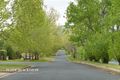 Property photo of 34 Sturt Avenue Narrabundah ACT 2604
