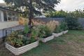 Property photo of 3 Lime Court Bellfield VIC 3081