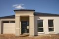 Property photo of 5 Camroc Avenue Tranmere SA 5073