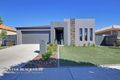 Property photo of 17 Anchorage Street Harrison ACT 2914