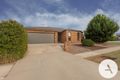 Property photo of 10 Amy Witting Street Franklin ACT 2913