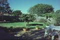 Property photo of 36 Heathcliff Crescent Balgowlah Heights NSW 2093