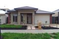 Property photo of 6 Haflinger Avenue Clyde North VIC 3978