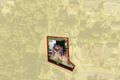 Property photo of 6 Nulla Place St Georges Basin NSW 2540