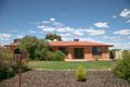 Property photo of 17 Leonard Avenue Risdon Park SA 5540