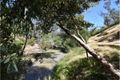 Property photo of 2145A Gorge Road Cudlee Creek SA 5232