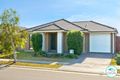 Property photo of 14 Sommer Street Yarrabilba QLD 4207