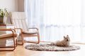 Property photo of 45/14 Federal Highway Watson ACT 2602