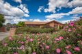 Property photo of 41 Altson Circuit Conder ACT 2906