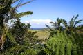 Property photo of 64 Survey Street Lennox Head NSW 2478