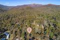 Property photo of 19 Warrambat Road Sawmill Settlement VIC 3723