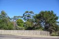 Property photo of 202 Marsden Street Shortland NSW 2307