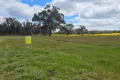 Property photo of 7 Bartlett Close Mount Barker WA 6324