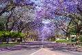 Property photo of LOT 1 Ardross Street Applecross WA 6153