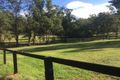 Property photo of 23 Pointers Road Martinsville NSW 2265