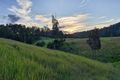 Property photo of 2181 Bulga Road Bobin NSW 2429