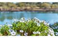 Property photo of 17 Newry Island Drive Urunga NSW 2455
