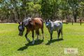 Property photo of 56 Kowin Court Cardup WA 6122