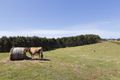 Property photo of 2380 Murchison Highway Henrietta TAS 7325