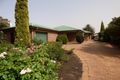 Property photo of 31 Farrand Street Forbes NSW 2871