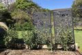 Property photo of 81 Bayview Road McCrae VIC 3938