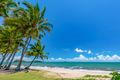 Property photo of 6 Talpa Close Palm Cove QLD 4879