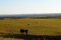 Property photo of 498 Back Forest Road Far Meadow NSW 2535