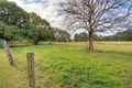 Property photo of 300 Palmwoods-Montville Road Palmwoods QLD 4555