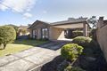 Property photo of 11 Amber Grove Mount Waverley VIC 3149