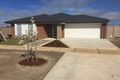 Property photo of 3 Cochrane Street Echuca VIC 3564