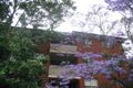 Property photo of 3/10 Leichhardt Street Glebe NSW 2037