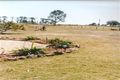 Property photo of 45 Braddocks Road Orangeville NSW 2570