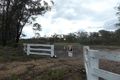 Property photo of 334 Bostons Road Bucca QLD 4670