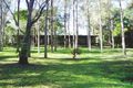 Property photo of 15 Rusa Court Nerang QLD 4211