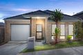 Property photo of 11 Neroli Drive Springfield Lakes QLD 4300
