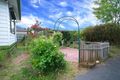 Property photo of 51 Peter Street Box Hill North VIC 3129