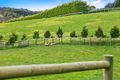 Property photo of 45 Tucks Road Main Ridge VIC 3928