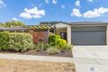 Property photo of 1 Allnutt Crescent Forde ACT 2914