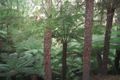Property photo of 735 Barham River Road Apollo Bay VIC 3233