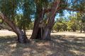 Property photo of 314 Fletcher Road Karnup WA 6176