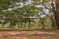 Property photo of 213 Grays Road Doonan QLD 4562