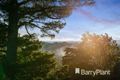 Property photo of 12 Lara Court Mount Evelyn VIC 3796