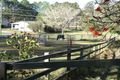 Property photo of 2 Tarawara Avenue Tallai QLD 4213