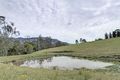 Property photo of 1237 Leggetts Drive Mount Vincent NSW 2323