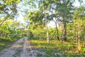 Property photo of 394 Murphy Road Captain Creek QLD 4677