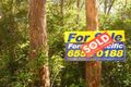 Property photo of 125 Hubbards Road South Mayers Flat NSW 2423